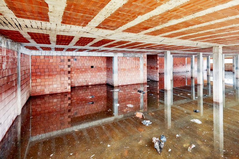 Basement Water Cleanup in Gilbert, AZ