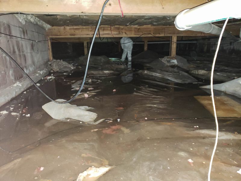 Basement Water Cleanup in Wilmington, NC