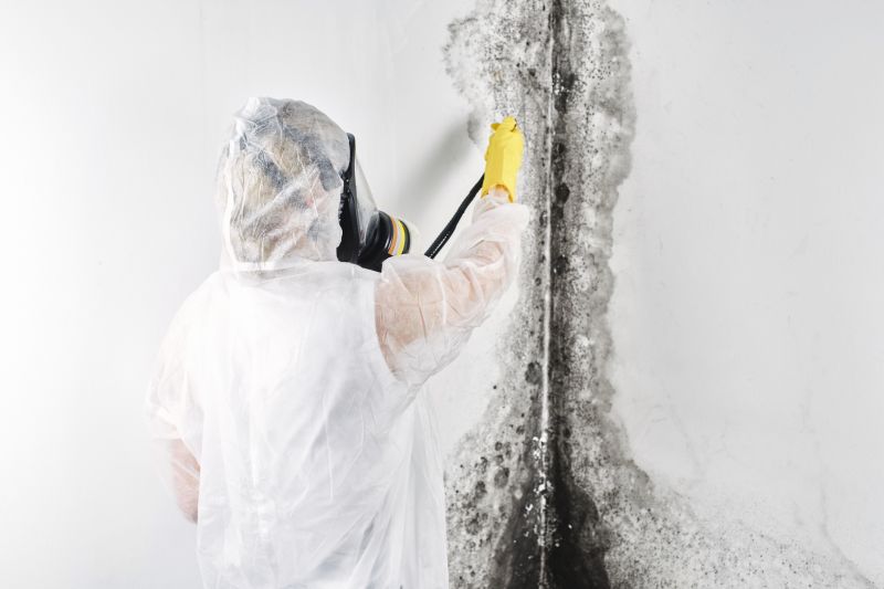 Mold Remediation Specialists